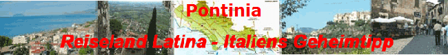 Pontinia